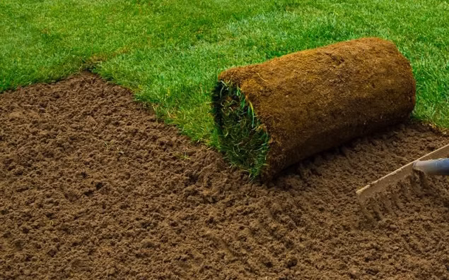 Sod installation services